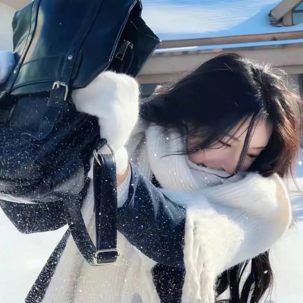 朕的刺客女友